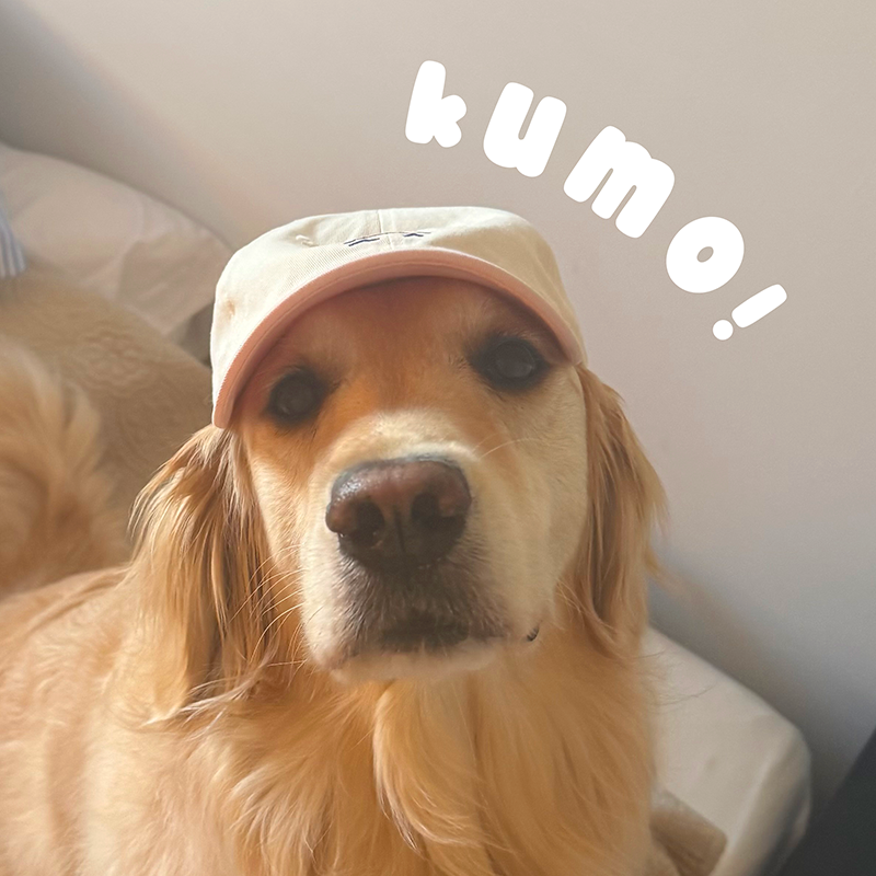 Kumo