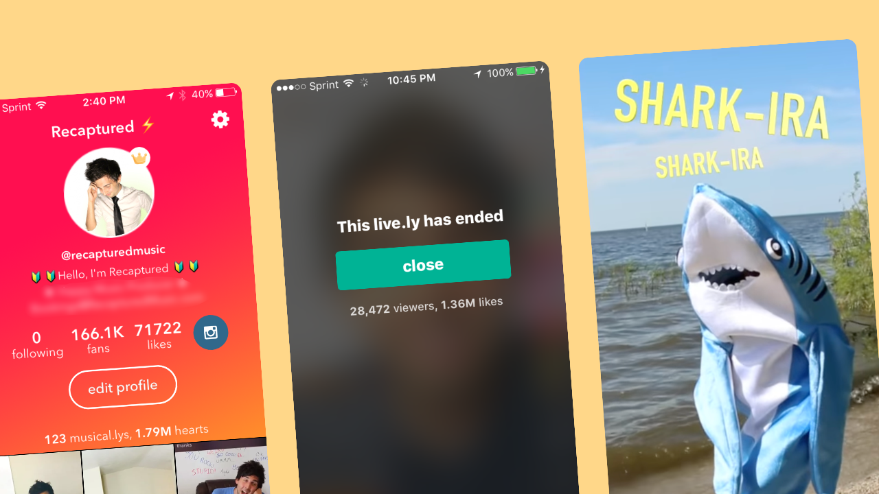 Social media audience growth